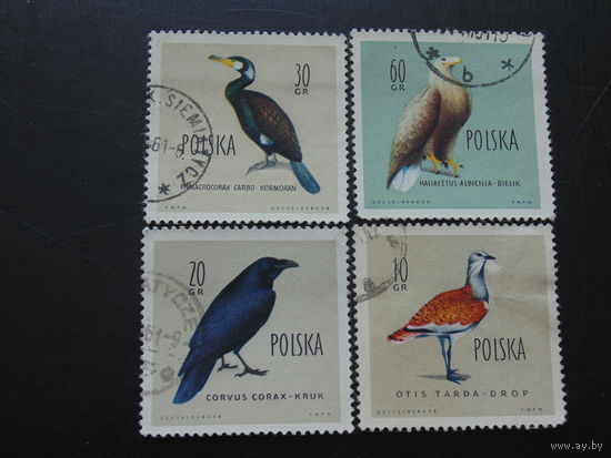 Польша 1960 г. Дикие птицы.