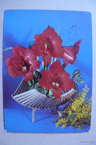 Костенко Г., 1974, подписана.