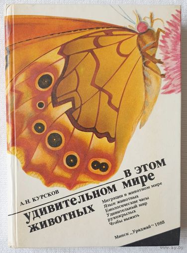 В этом удивительном мире животных | Курсков Александр | Животные
