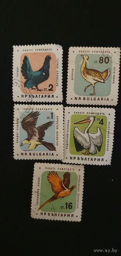 Болгария птицы 5шт