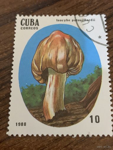 Куба 1988. Грибы. Inocybe patouillerdii. Марка из серии