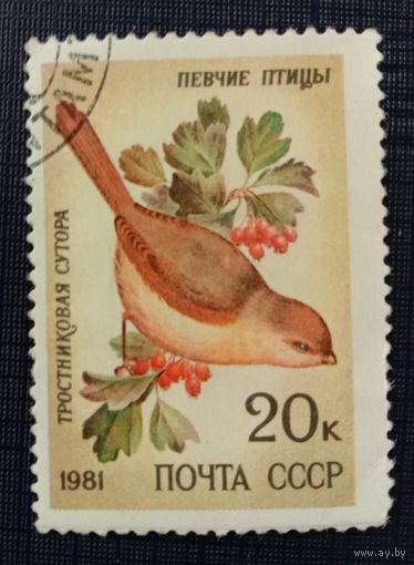 Марка СССР 1981 Певчие птицы