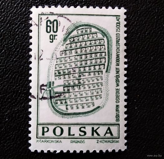 Марка Польша 1966 год Археология