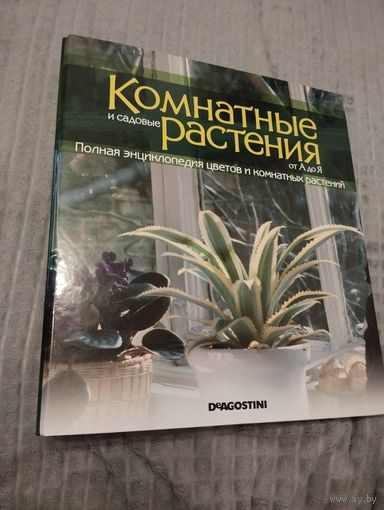 Комнатные и садовые растения.