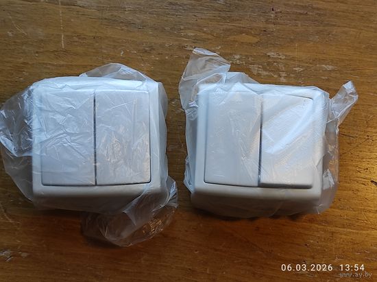 Выключатель 2-клавишный ОП 2 штуки с 1 рубля