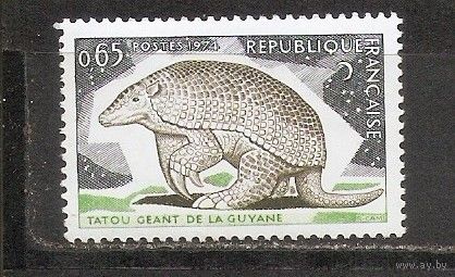 ФФ2 Франция 1974 Броненосец