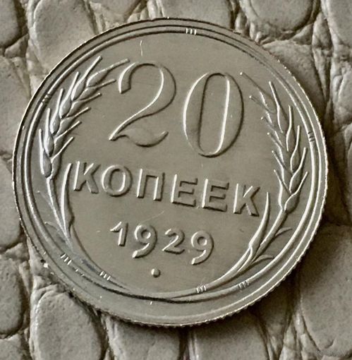 20 копеек 1929 года.