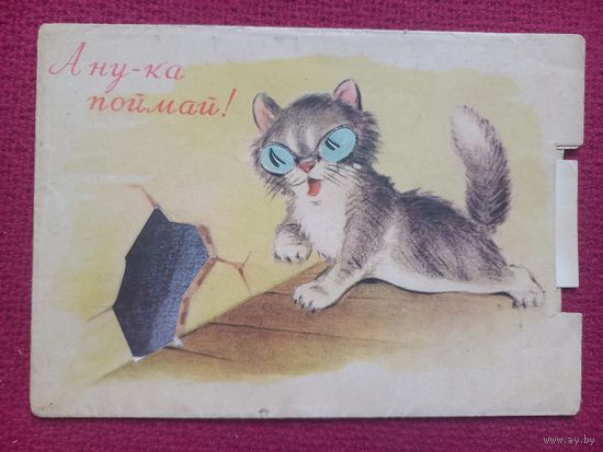 А ну-ка поймай! Левантин, Корсунский 1954 г. Чистая.