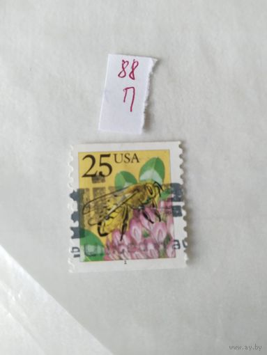 США  1988  пчела