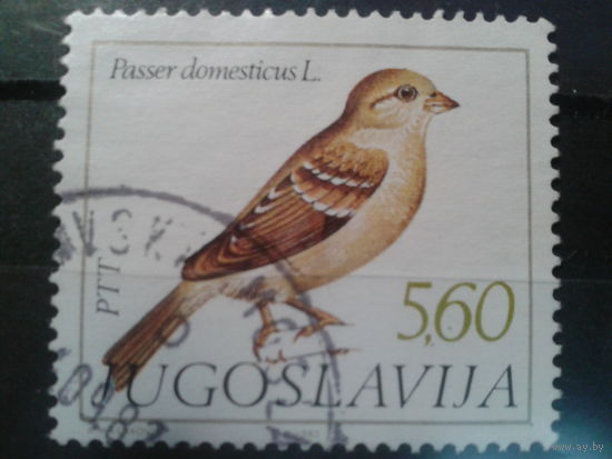 Югославия, 1982. Воробей