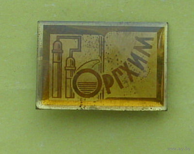 Оргхим. 951.