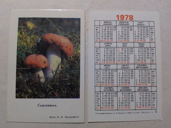 Карманный календарик. Сыроежки. тираж 10 000. 1978 год