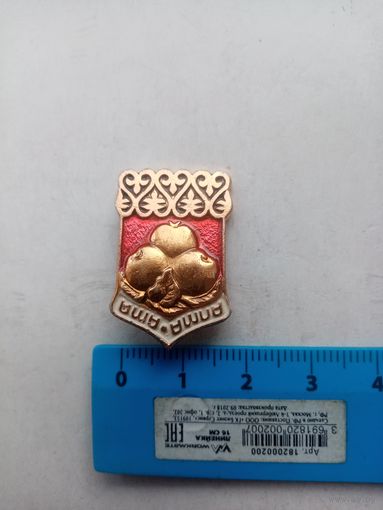 ЗНАЧОК АЛМААТА