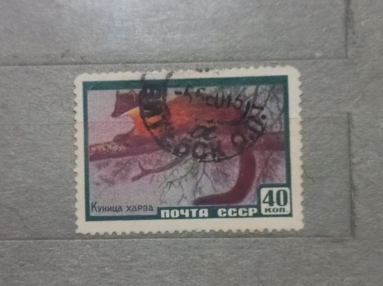 СССР. 1959г. Куница.