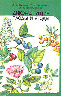 Дикорастущие плоды и ягоды.