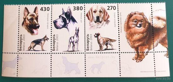 2003 Собаки Беларусь