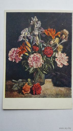 Цветы. 1955. Машков. Пионы, ирисы, лилии