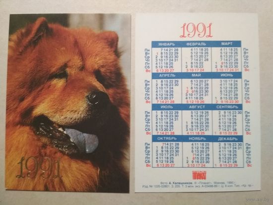Карманный календарик. Собака. 1991 год