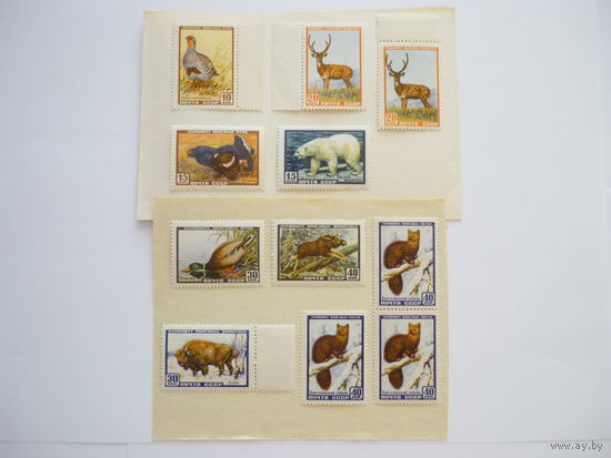 Серия марок СССР 1957 г. Качество! Чистые (MNH **)! По тематике - Фауна СССР. Животные, птицы. Состояние. Есть с полями, парные и сцепка.