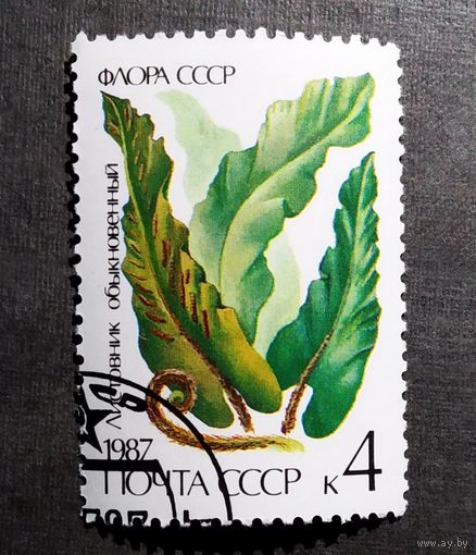 Марка СССР 1987 год Папоротник