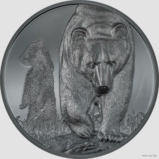 RARE Монголия 1000 тугриков 2023г. "Бурый медведь – Взросление". BLACK PROOF Монета в капсуле; подарочном футляре; номерной сертификат; коробка. СЕРЕБРО 62,20гр.(2 oz).