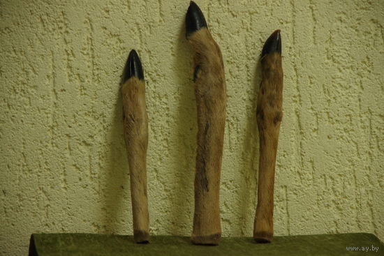 Козьи ножки 3 шт