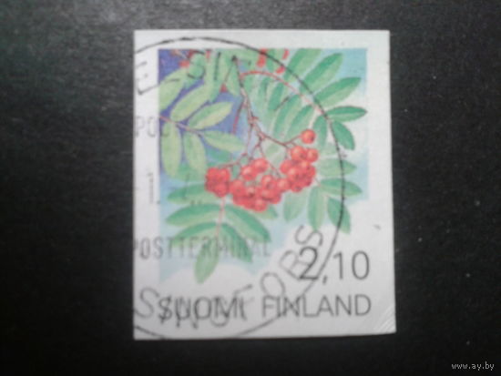 Финляндия 1991 стандарт рябина самоклейка