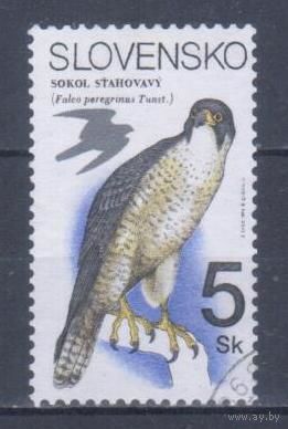 [1971] Словакия 1994. Фауна.Хищные птицы.Сокол. Гашеная марка.