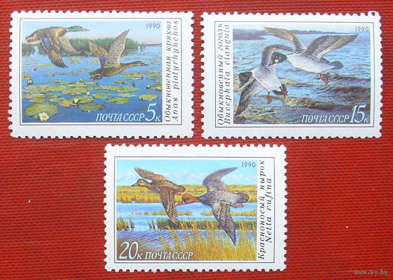 СССР. Утки. ( 3 марки ) 1990 года. 1-18.