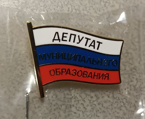 Депутат муниципального образования.