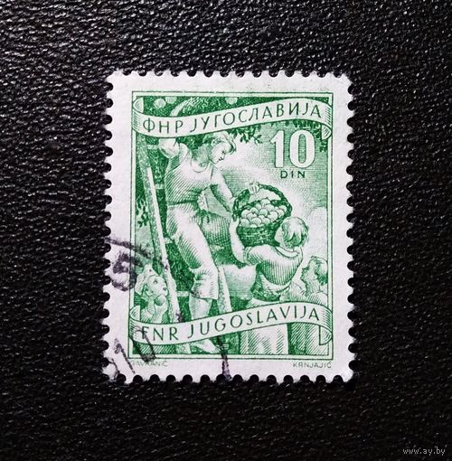 Марка Югославия 1952 год Стандартный выпуск