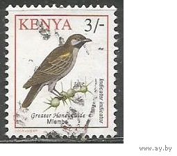 Кения. Птицы. Медоуказчик. 1993г. Mi#576.