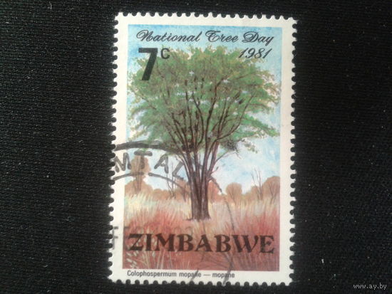 Зимбабве, 1981. Мопане