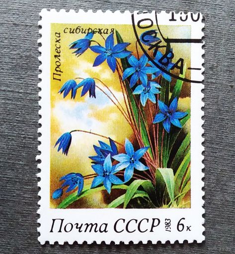 Марки СССР 1983 год Цветы