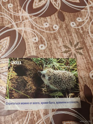 Календарик,животные,2011
