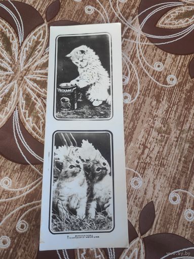 Фото закладка СССР