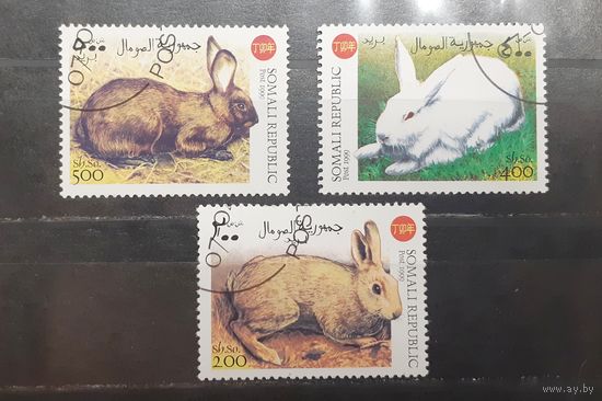 Сомали. 1999 год. Фауна. Кролики (562)