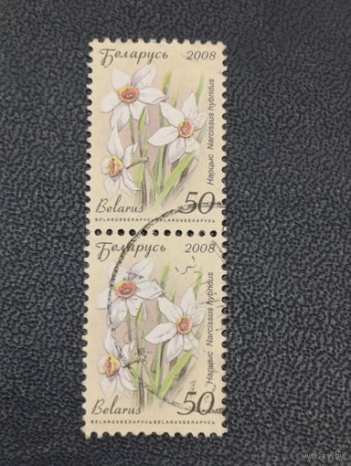 Беларусь 2008г. Нарцисс. Стандарт.Сцепка