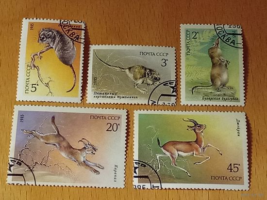 СССР 1985 Фауна. Животные. Полная серия 5 марок