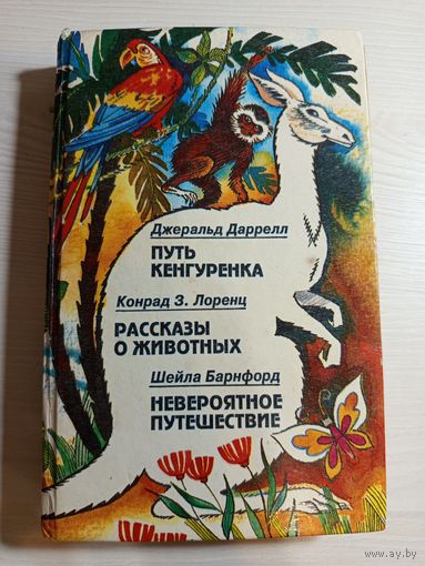 Путь кенгурёнка