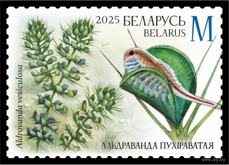 2025г Беларусь MNH  "Хищные растения"