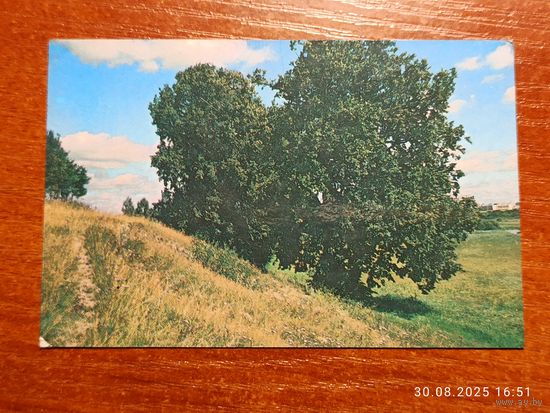 Календарик 1989 Природа