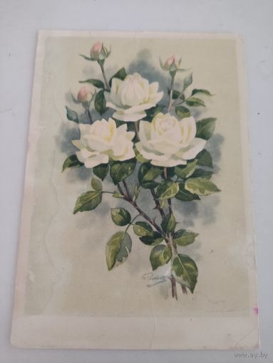 Открытка "роза Аэлита из серии "Цветы нашей Родины" 1964г,  художник И.Романов
