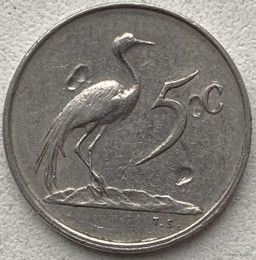 ЮАР 5 центов 1981 г.