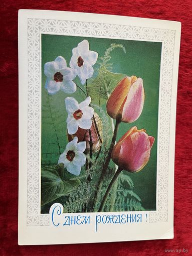 Фото Г. Костенко. С днем рождения! 1978 год. Чистая.
