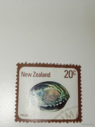 Новая Зеландия 1975 Ракушка