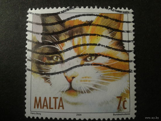 Мальта 2004 кошка