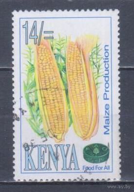 [61] Кения 1995. Флора.Плоды.Кукуруза. Гашеная марка.
