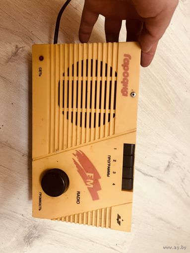 Радио гародня