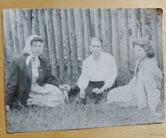 Фото в коллекцию